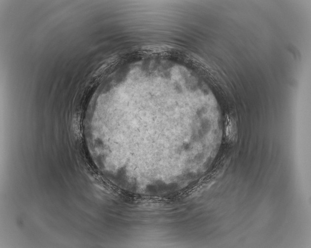 X0000111000819200907171811