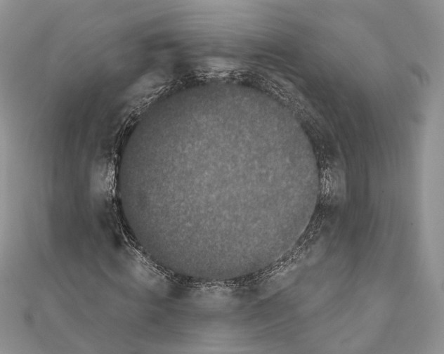 X0000111000820200907171811