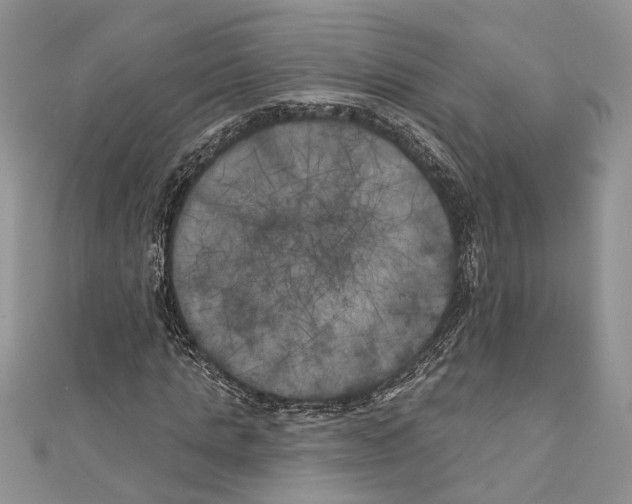 X0000111000821200907171811