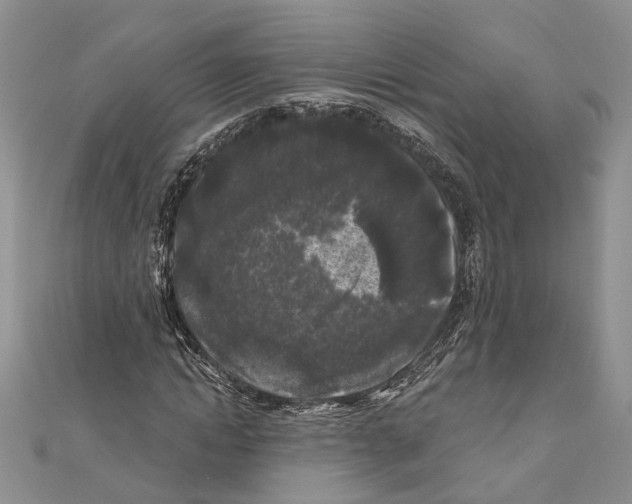 X0000111000822200907171811