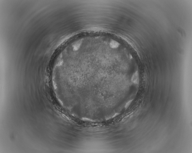 X0000111000823200907171811