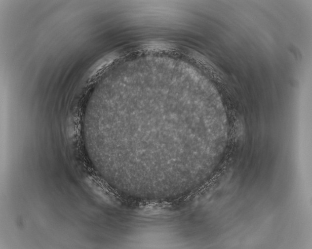 X0000111000824200907171811