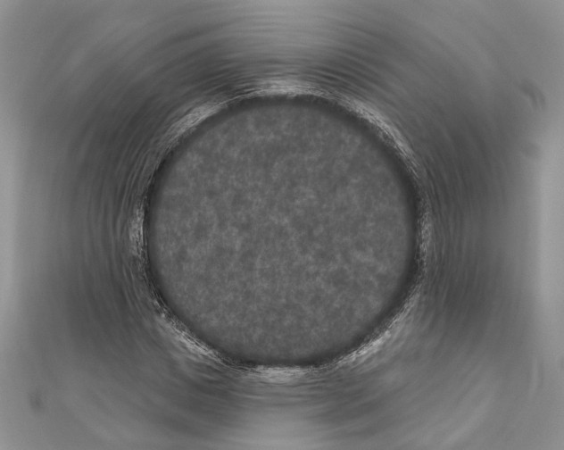 X0000111000825200907171811