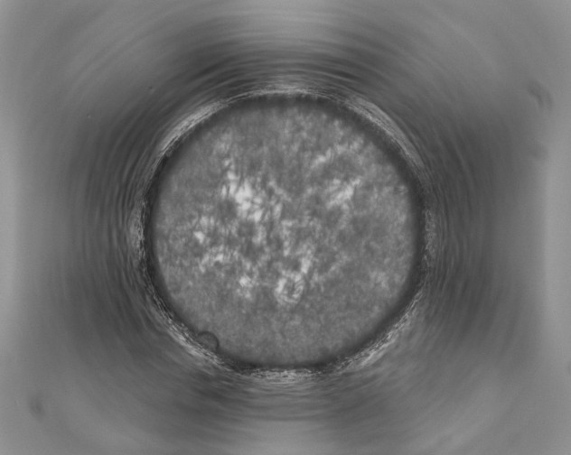 X0000111000826200907171811