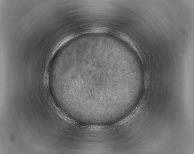 X0000111000827200907171811