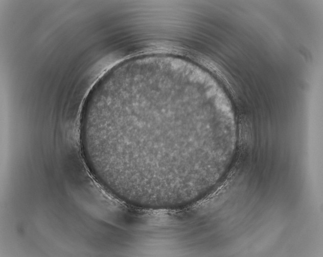 X0000111000828200907171811