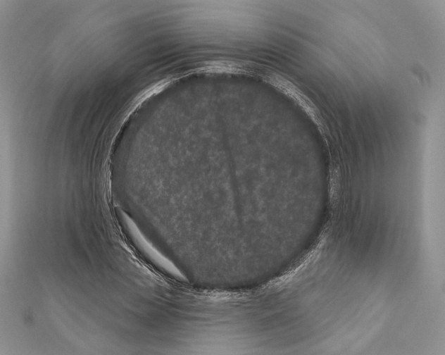 X0000111000829200907171811