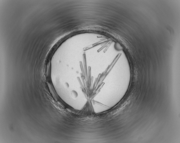 X0000111000830200907171812