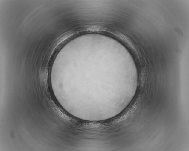 X0000111000831200907171812