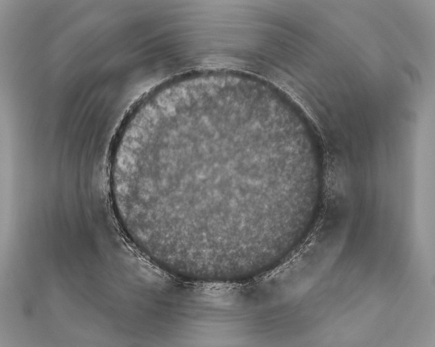 X0000111000832200907171812