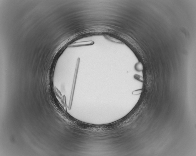 X0000111000834200907171812