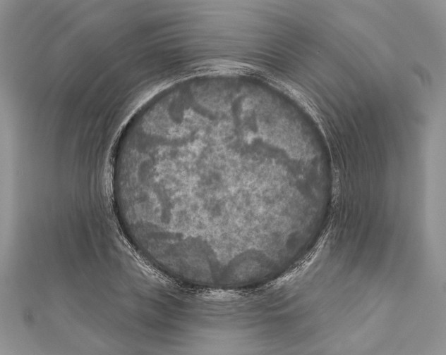 X0000111000835200907171812