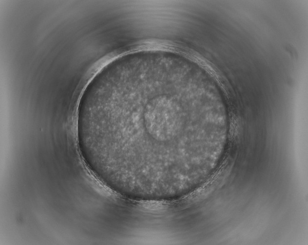 X0000111000836200907171812