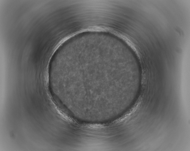 X0000111000837200907171812