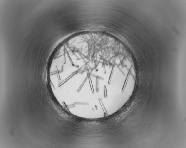 X0000111000838200907171812