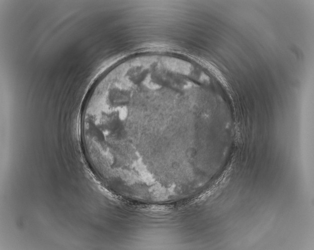 X0000111000839200907171812