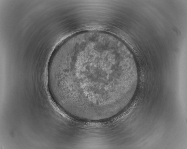 X0000111000840200907171812