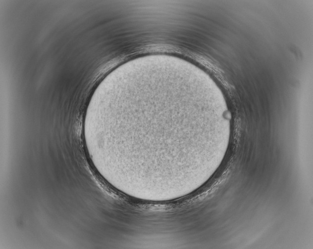 X0000111000841200907171812