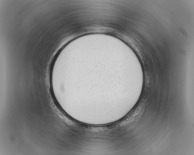 X0000111000843200907171812