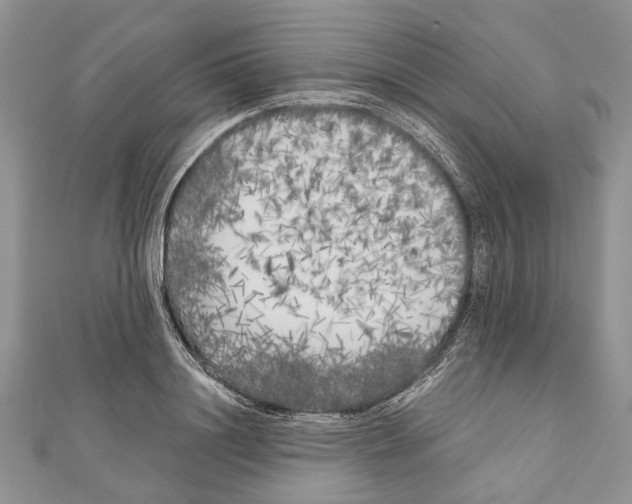 X0000111000844200907171812