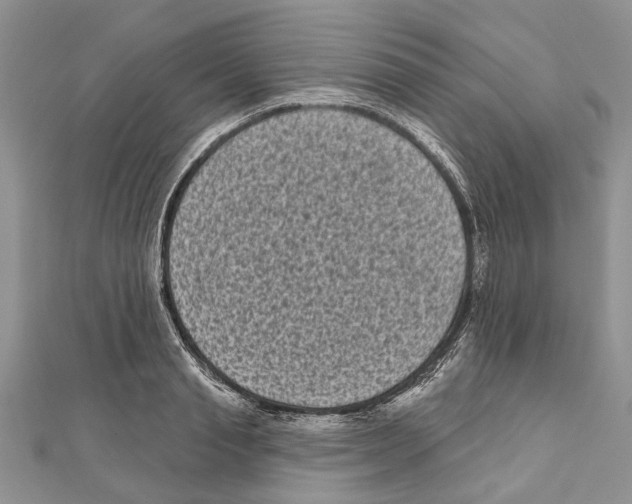 X0000111000845200907171812