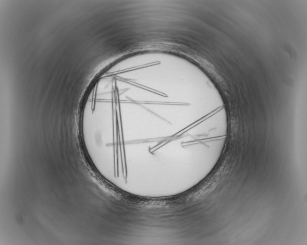 X0000111000846200907171812