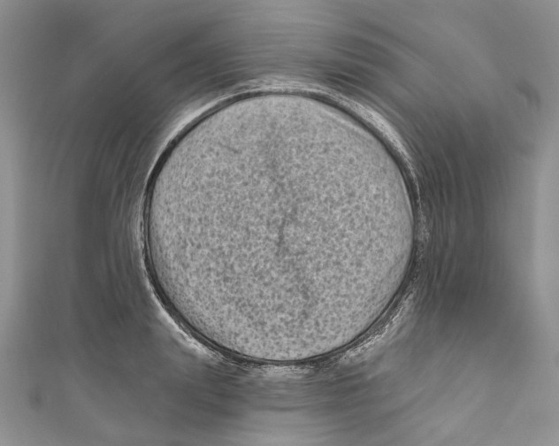 X0000111000847200907171812