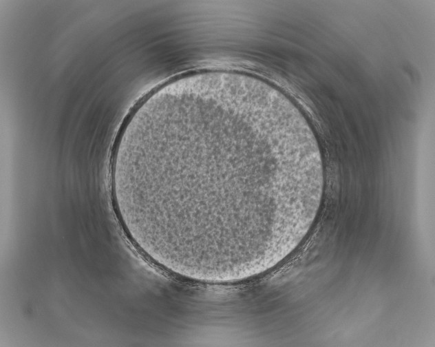 X0000111000848200907171812