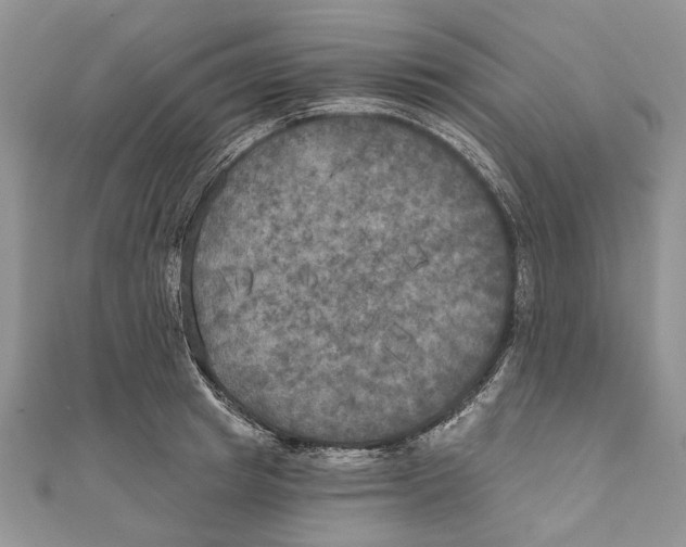 X0000111000849200907171812