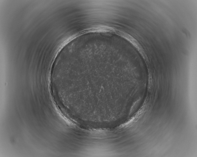 X0000111000850200907171812