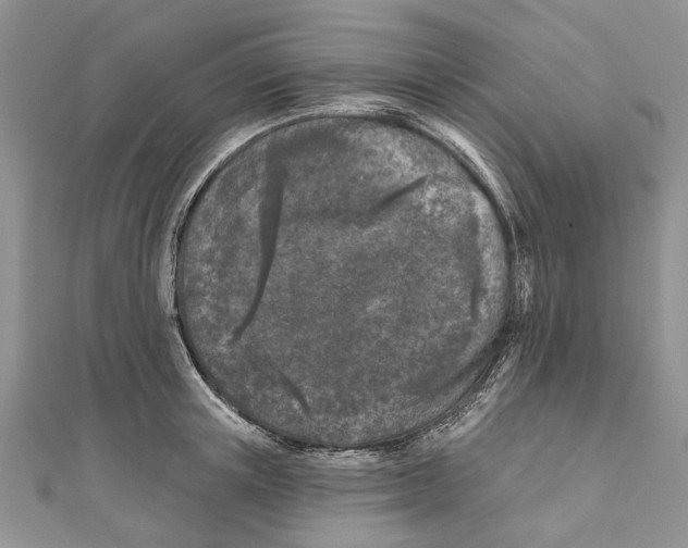 X0000111000851200907171812