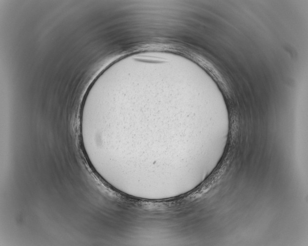 X0000111000852200907171812