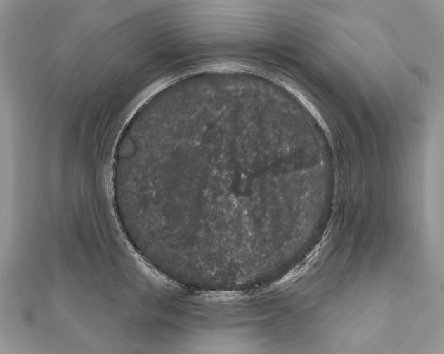 X0000111000853200907171812