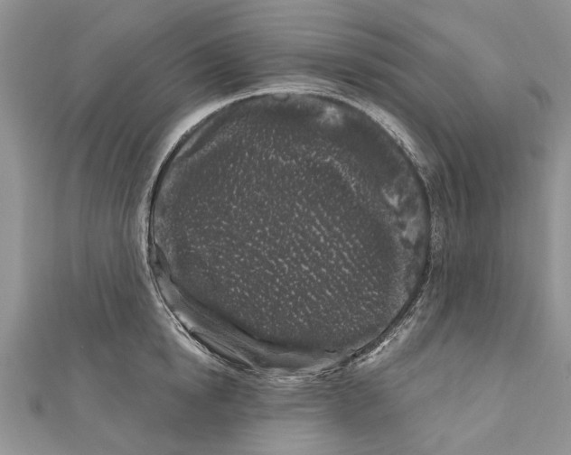 X0000111000854200907171812