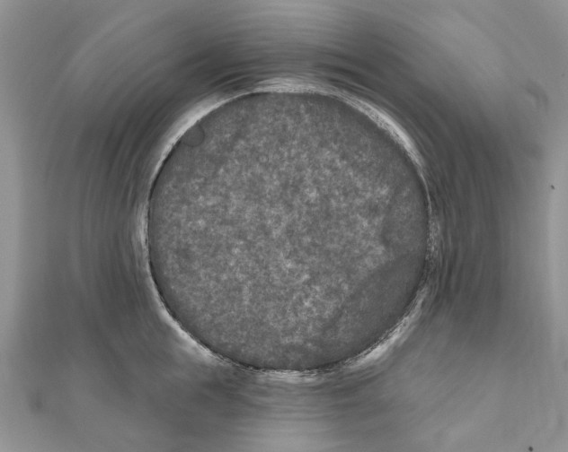 X0000111000855200907171812