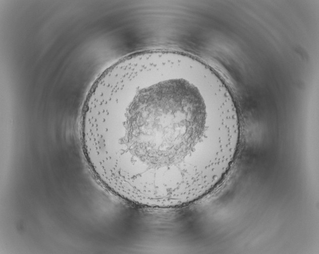 X0000111000856200907171812