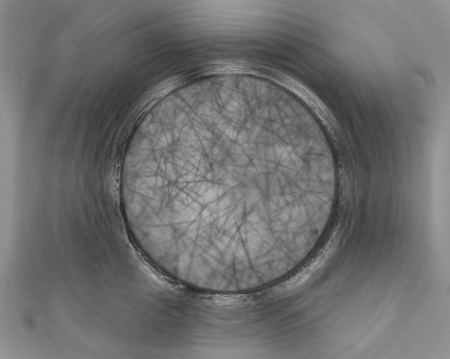 X0000111000857200907171812