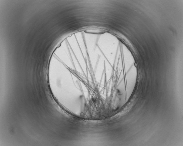 X0000111000860200907171812