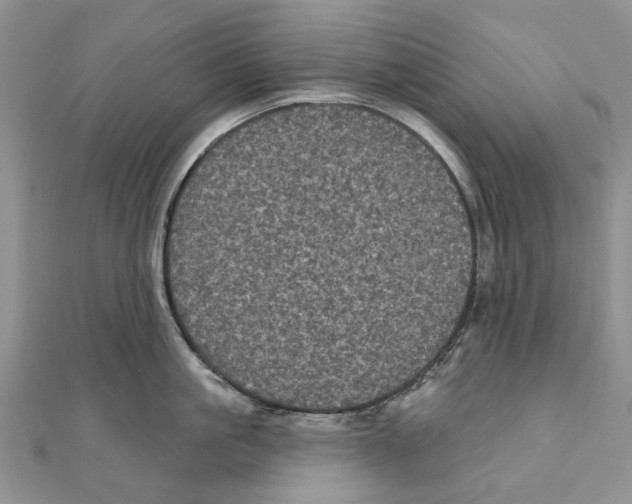 X0000111000861200907171812