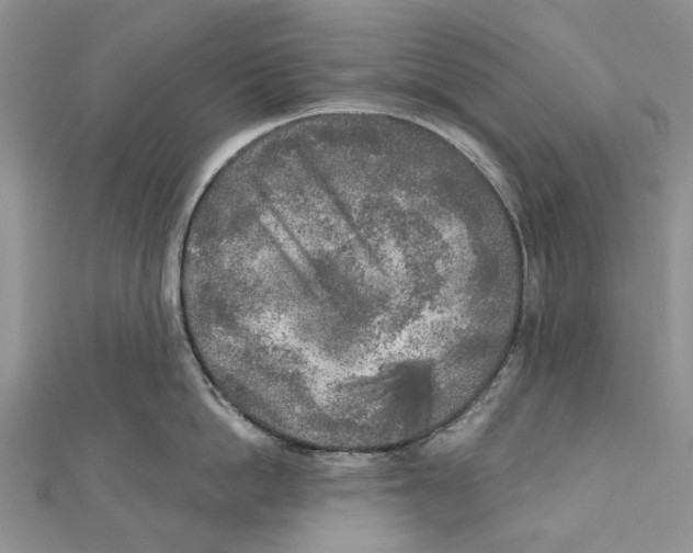 X0000111000862200907171812