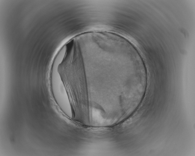 X0000111000864200907171812