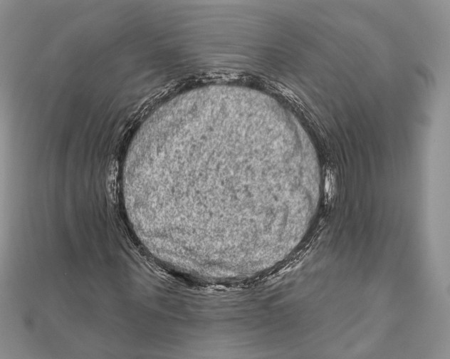 X0000111000867200907171811