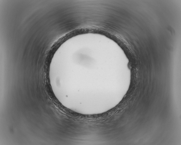 X0000111000872200907171811