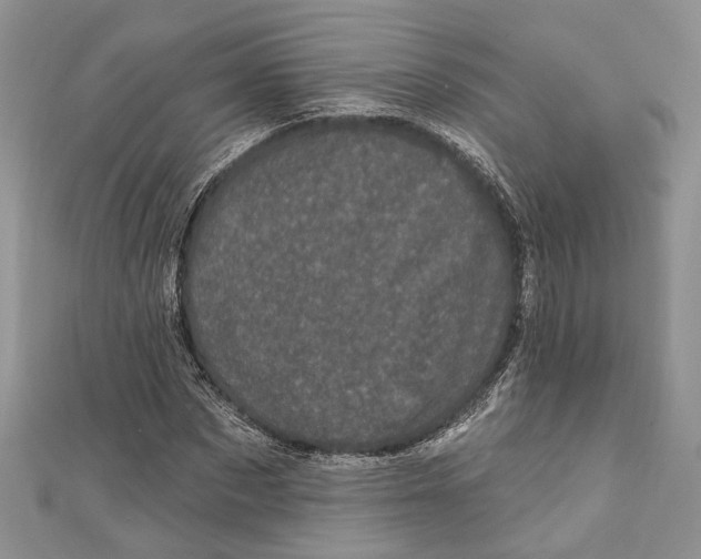 X0000111000873200907171811