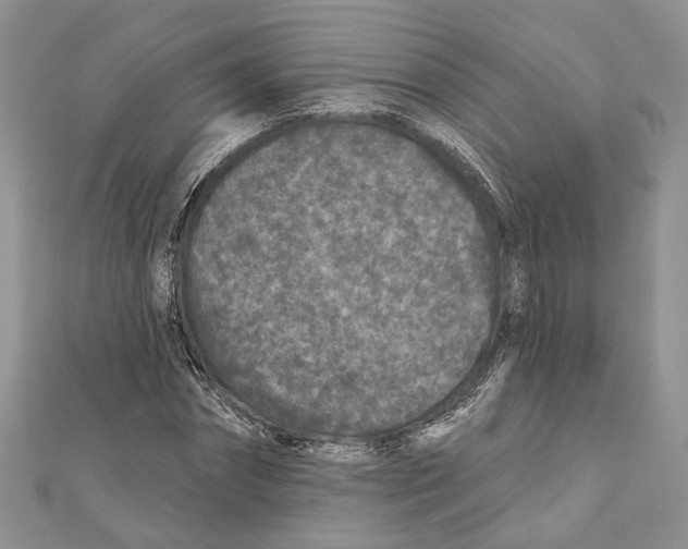 X0000111000874200907171811