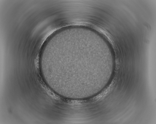 X0000111000875200907171811