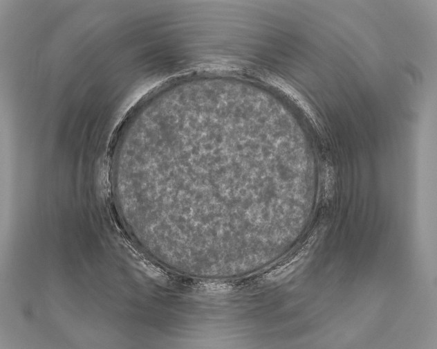 X0000111000878200907171811