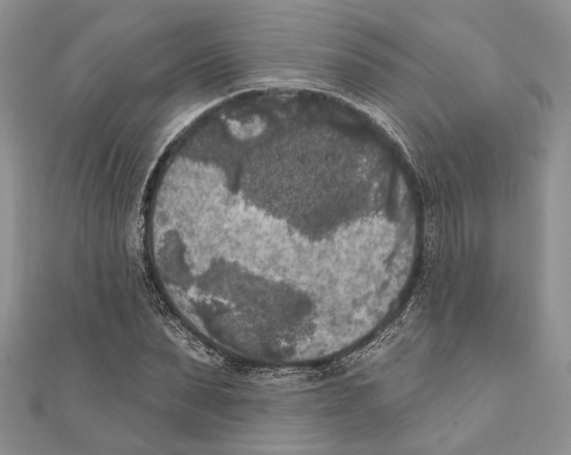 X0000111000879200907171811