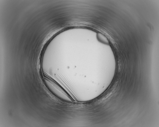 X0000111000885200907171811