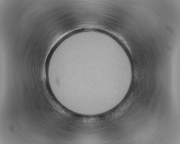 X0000111000887200907171811